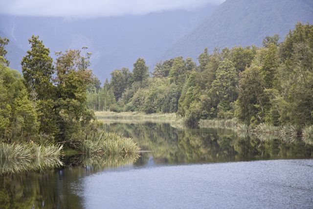 Matheson Lake nabij Fox Glacier
